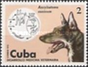Hookworm (Ancylostoma caninum), Dog (Canis lupus familiaris)