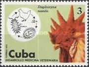 Nematoda (Dispharynx nasuta), Rooster (Gallus gallus domesti