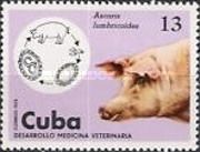 Giant Roundworm (Ascaris lumbricoides), Pig