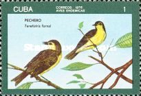 Oriente Warbler (Teretistris fornsi)