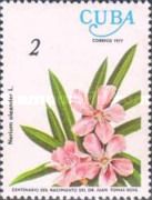Nerium oleander