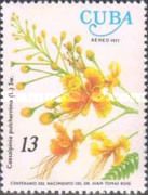 Caesalpinia pulcherrima