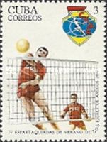 Volleyball