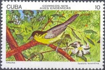 Yellow-headed Warbler (Teretistris fernandinae)