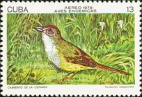Cuban Sparrow (Torreornis inexpectata)
