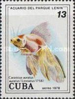 Goldfish (Carassius auratus auratus)