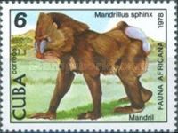 Mandrill (Mandrillus sphinx)