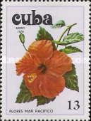 Hibiscus