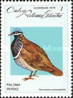 Blue-headed Quail-dove (Starnoenas cyanocephala)