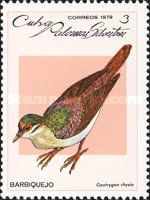 Key West Quail-dove (Geotrygon chrysia)