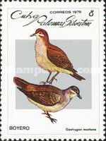 Ruddy Quail-Dove (Geotrygon montana)