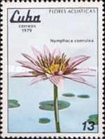 Nymphaea caerulea