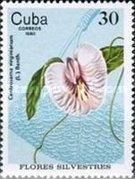 Centrosema virginianum
