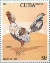 Jabao (Gallus gallus domesticus)