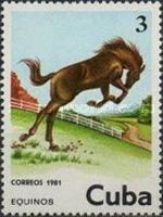 Horse (Equus ferus caballus)