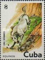 Horse (Equus ferus caballus)
