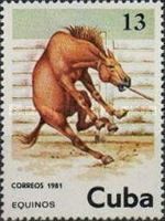 Horse (Equus ferus caballus)
