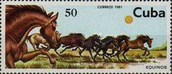 Herd of Horses (Equus ferus caballus)