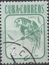 Cuban Parakeet (Aratinga euops)