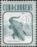Cuban Crocodile (Crocodylus rhombifer)