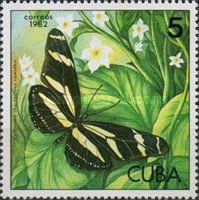 Zebra Longwing (Heliconius charithonius ssp. ramsdeni)