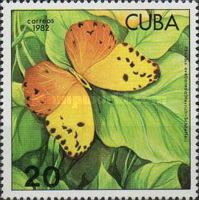 Red-splashed Sulphur (Phoebis avellaneda)
