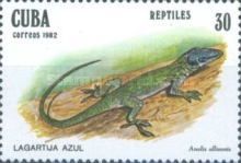Allison's Anole (Anolis allisoni)