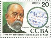 Robert Koch (1843-1910)