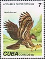 Cuban Fossile Eagle (Aquila borrasi)