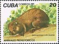 Cuban Hutia (Geocapromys colombianus)