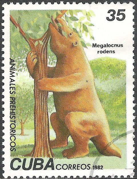 Great Sloth (Megalocnus rodens)