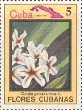 Cordia gerascanthus