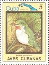 Cuban Tody (Todus multicolor)