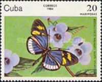 Cydno Longwing (Heliconius cydno ssp. cydnides)
