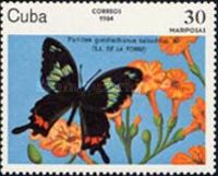 Cuban Cattleheart (Parides gundlachianus ssp. calzadillae)