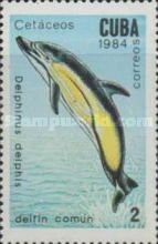 Common Dolphin (Delphinus delphis)