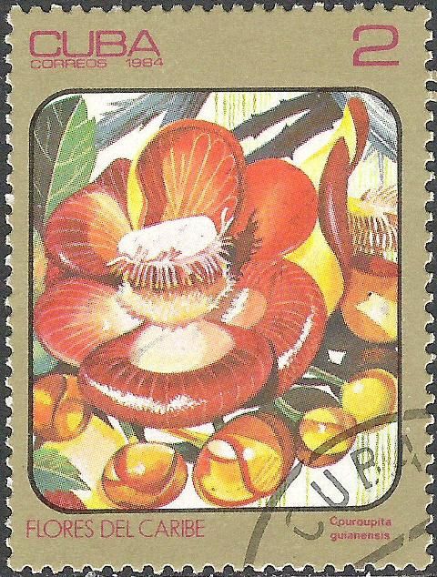 Couroupita guianensis