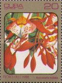 Amherstia nobilis