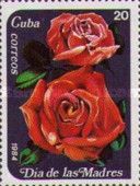 Red Roses