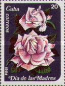 Pink Roses