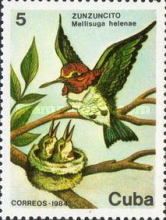 Bee Hummingbird (Mellisuga helenae)