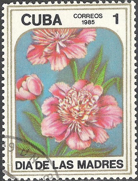 Paeonia