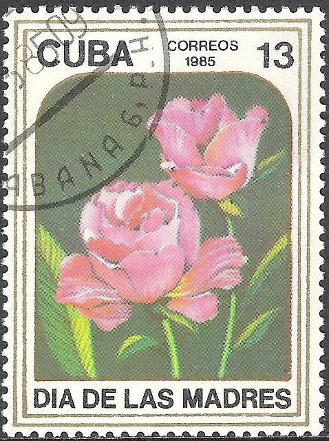 Roses