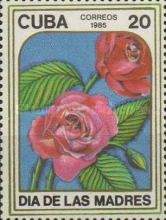 Roses