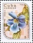 Thunbergia grandiflora