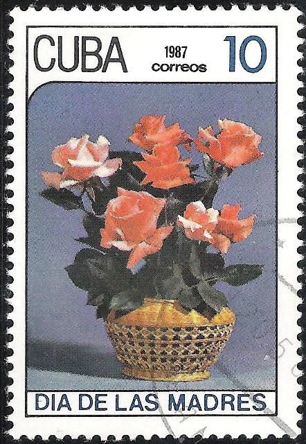 Roses in basket