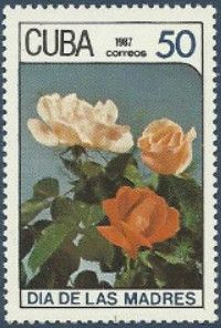 Roses