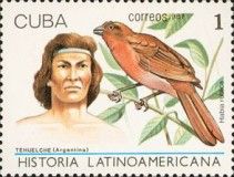 Tehuelche, Argentinien; Red-crowned Ant Tanager (Habia rubic