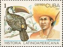 Tibirica; Cuvier's Toucan (Ramphastos tucanus cuvieri)