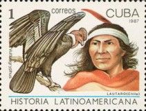 Lautaro, Chile; Andean Condor (Vultur gryphus)